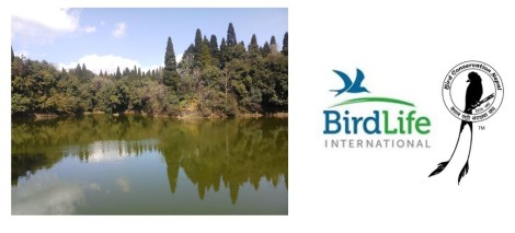 bird-image