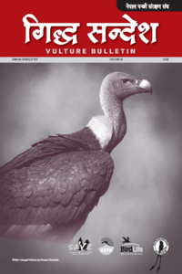 Vulture Bulletin